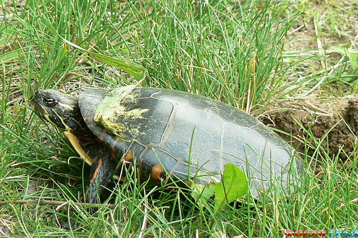 Путешествие с детьми