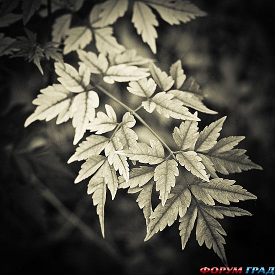 Путешествие с детьми