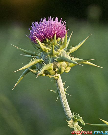 Путешествие с детьми