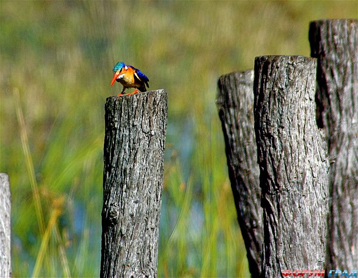 Путешествие с детьми