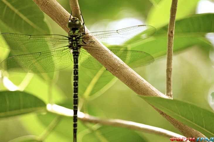 Путешествие с детьми