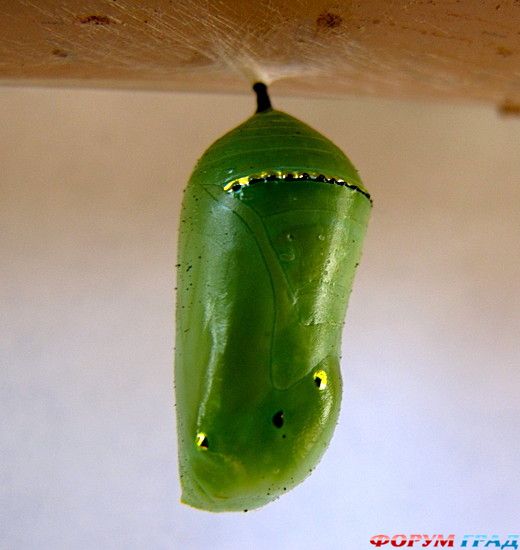 Путешествие с детьми