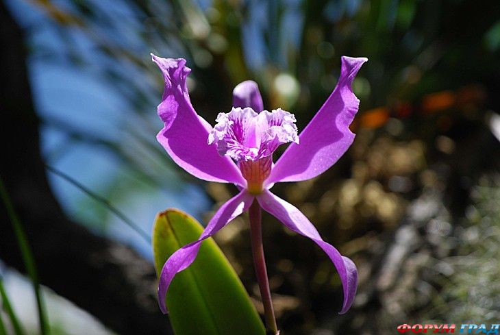 Путешествие с детьми