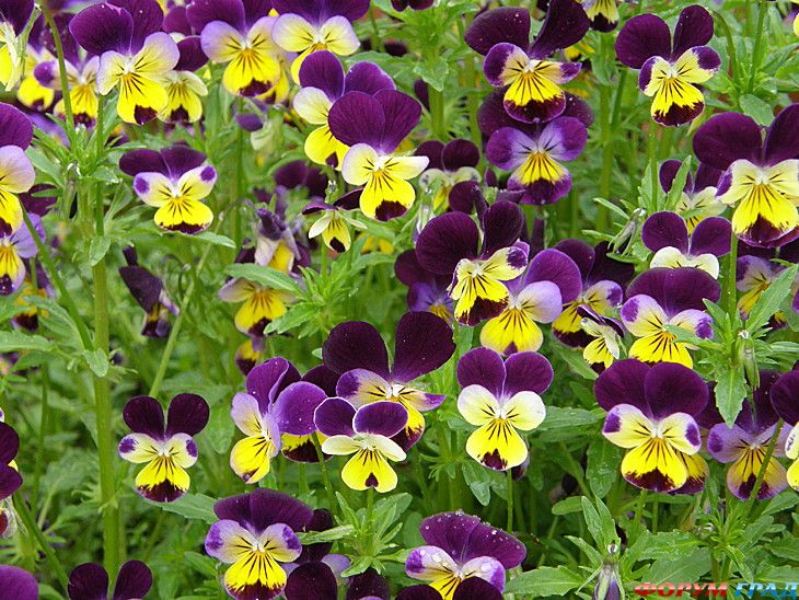 Путешествие с детьми