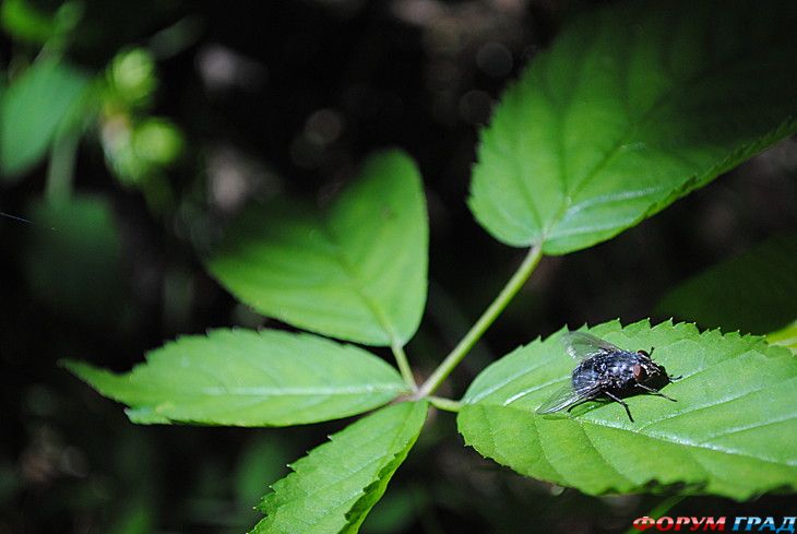 Путешествие с детьми