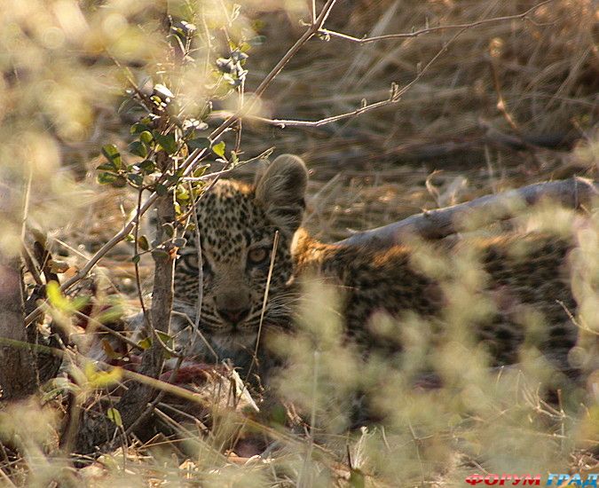 Путешествие с детьми