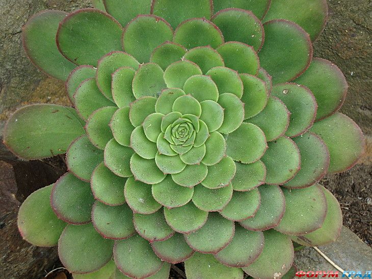 Путешествие с детьми