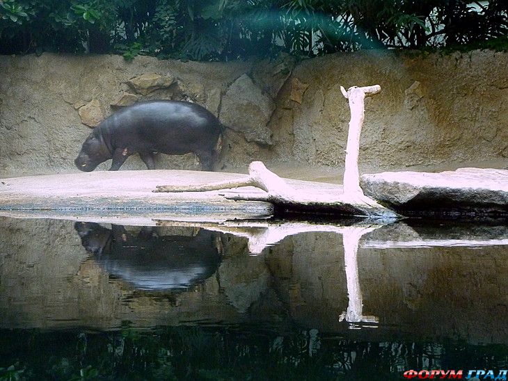 Путешествие с детьми