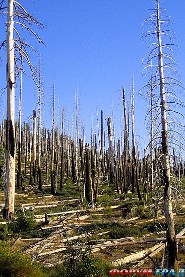 Путешествие с детьми