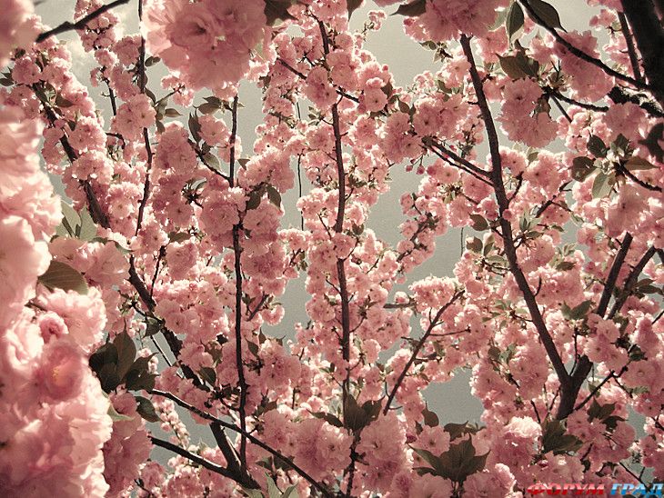 Путешествие с детьми