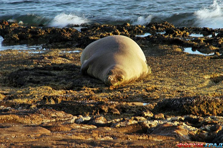 Путешествие с детьми