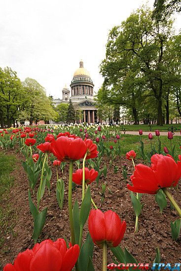 Путешествие с детьми