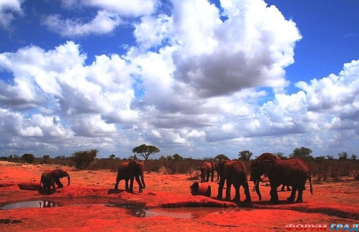 Путешествие с детьми