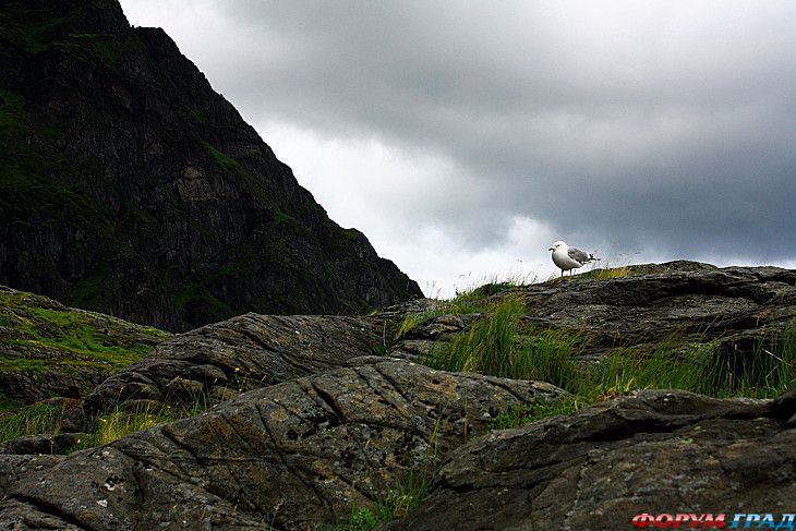 Путешествие с детьми
