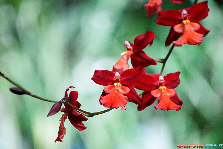 Путешествие с детьми