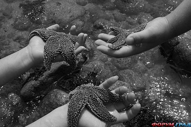 Путешествие с детьми