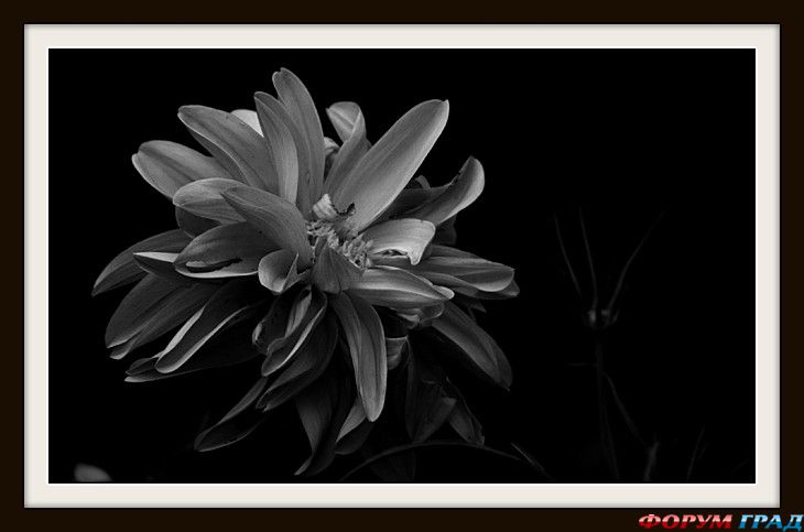 Путешествие с детьми