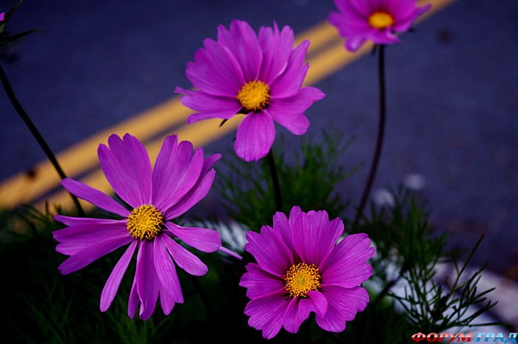 интересные места на земле