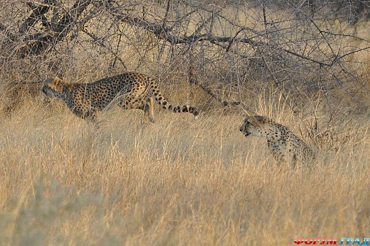 интересные места на земле