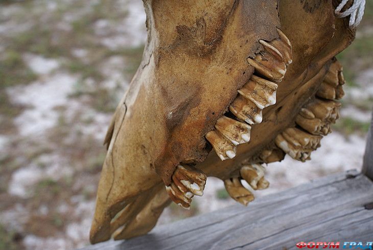 интересные места на земле