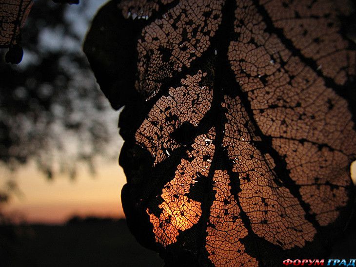 интересные места на земле