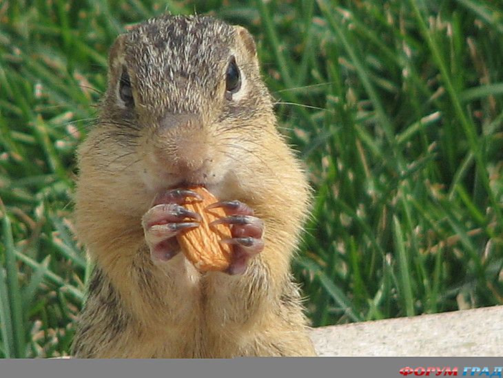 интересные места на земле