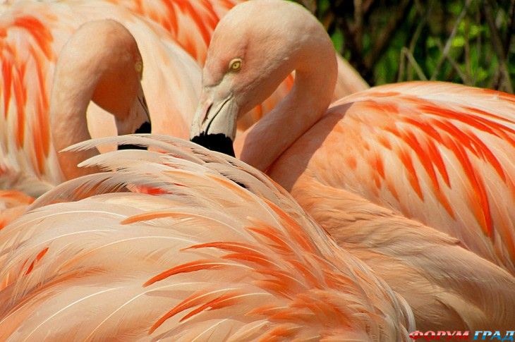 интересные места на земле