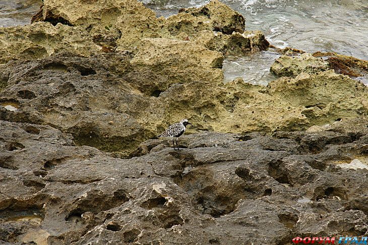 интересные места на земле