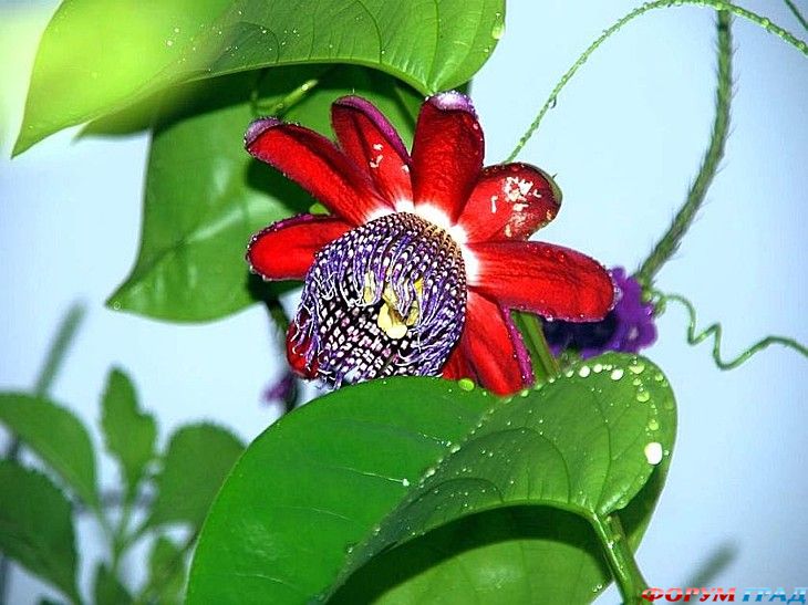 интересные места на земле