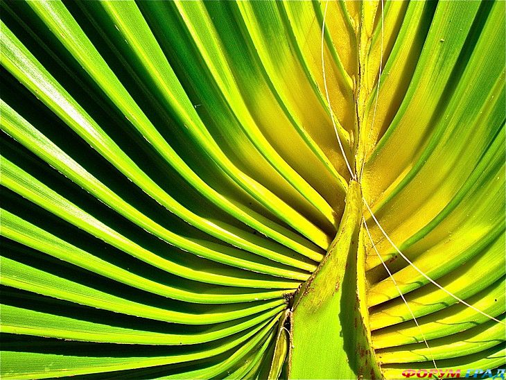 интересные места на земле