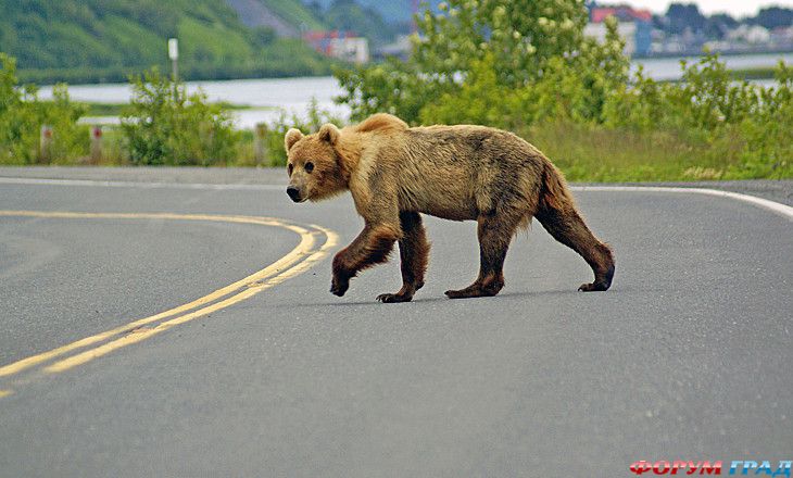 интересные места на земле