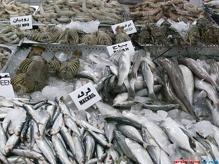 интересные места на земле