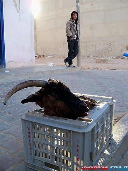 интересные места на земле