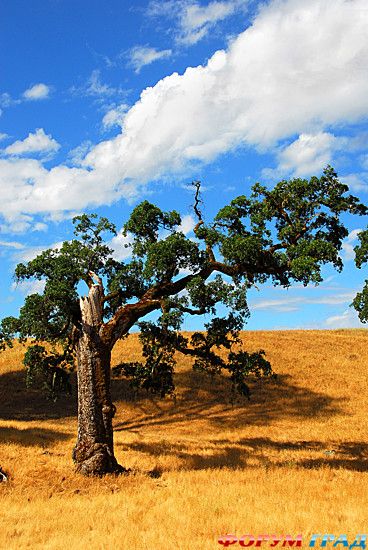 интересные места на земле
