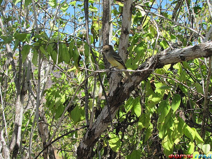 интересные места на земле