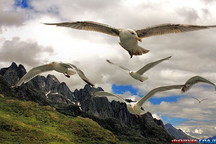 интересные места на земле