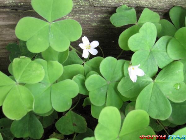 интересные места на земле