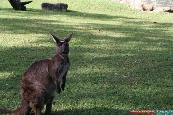 интересные места на земле