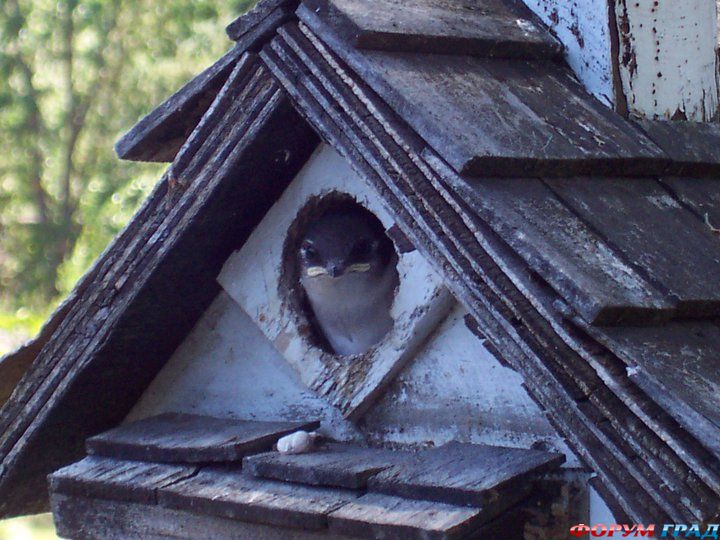 интересные места на земле