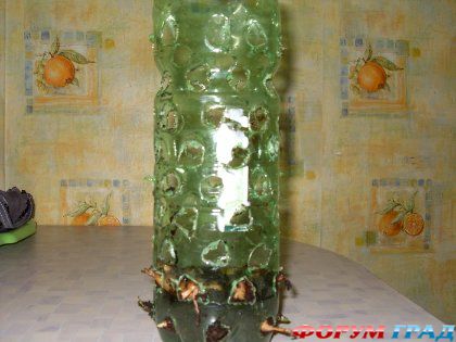 пластиковая бутылка