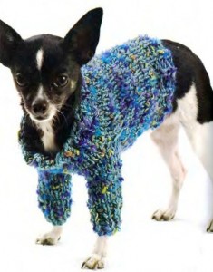 собачий свитер