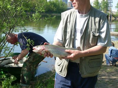 рыбалка у Бородина