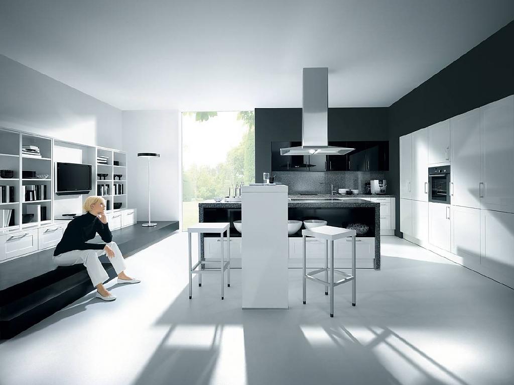black-and-white-kitchen-07