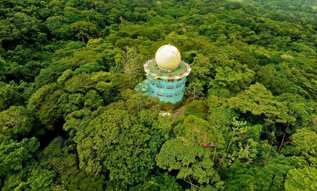 Отель The Canopy Tower