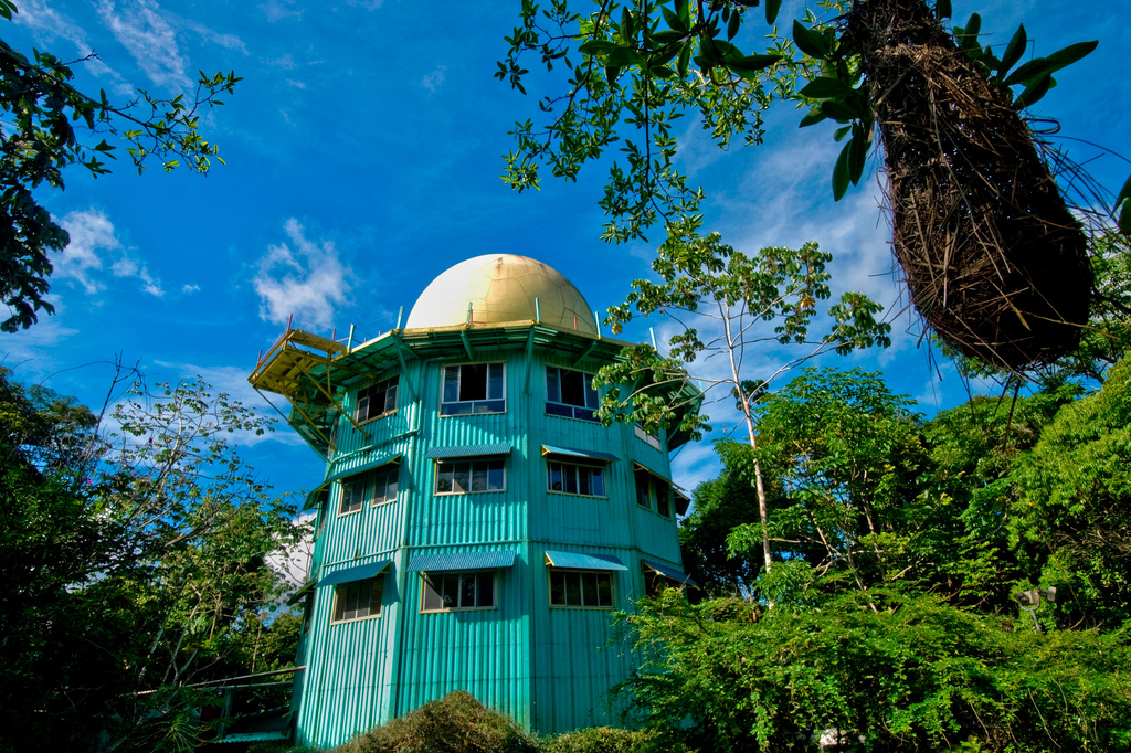 Отель The Canopy Tower