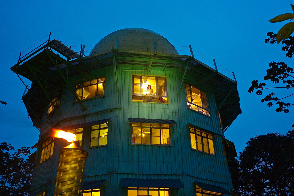 Отель The Canopy Tower