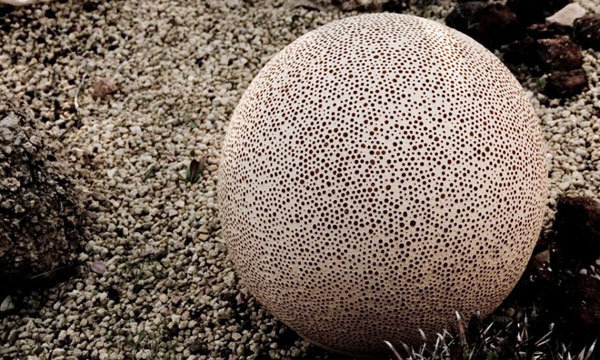 modern-and-organic-sponge-outdoor-lamp-04