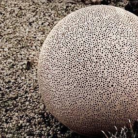 modern-and-organic-sponge-outdoor-lamp-04