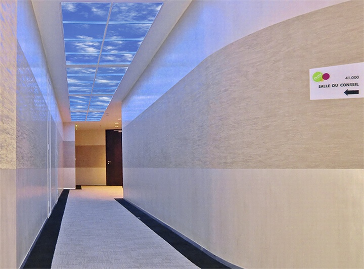 biophilic-design-offices-08