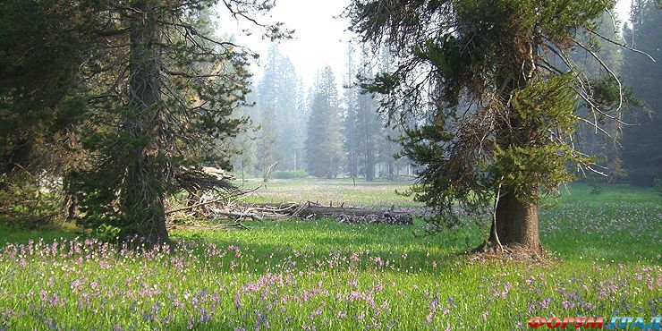 Окрестности отеля Far Meadow